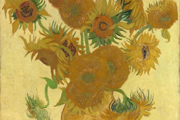 The Seven Sunflowers - National Gallery of Australia