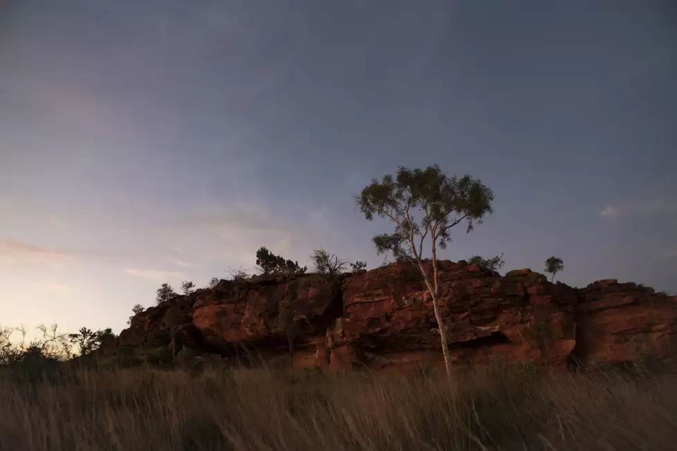 A photo of Urlerrperl waterhole, near Alhalker, with a tree, a rocky mountain and tall grass