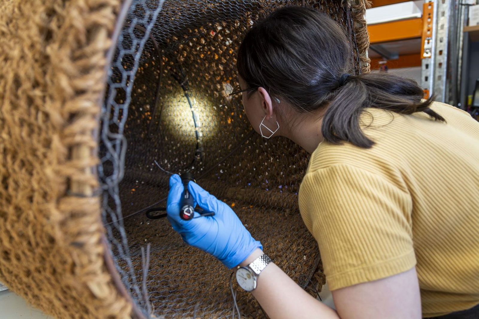Photograph of object conservator using flashlight to inspect cylindrical sculpture