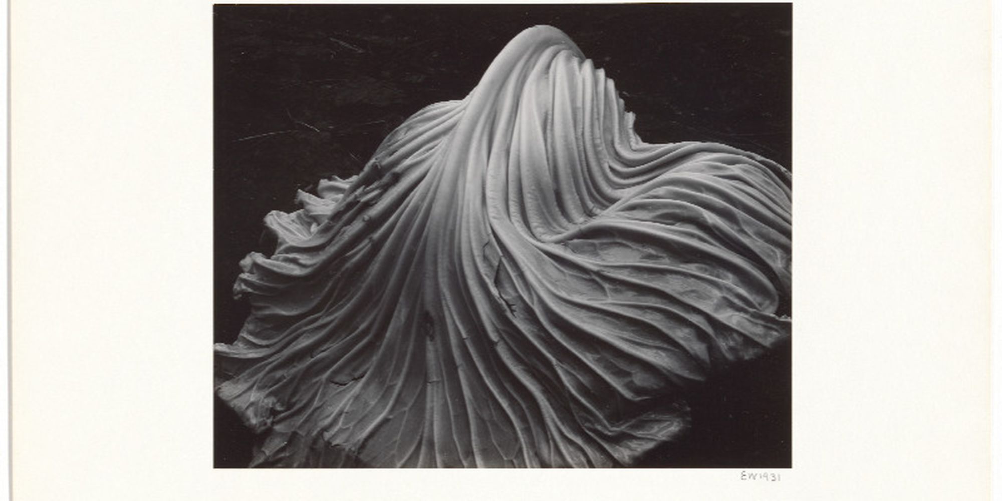 Here Comes the New Photography! - National Gallery of Australia