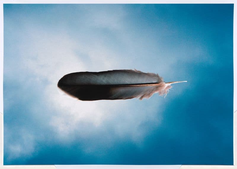 Photo of a horizontal white feather on a background of the blue sky