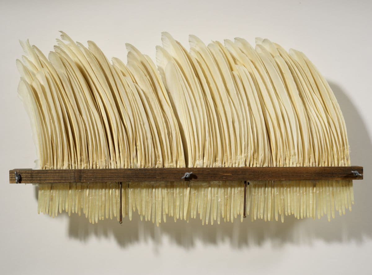 A sculpture made of feathers standing upright in a wooden tray