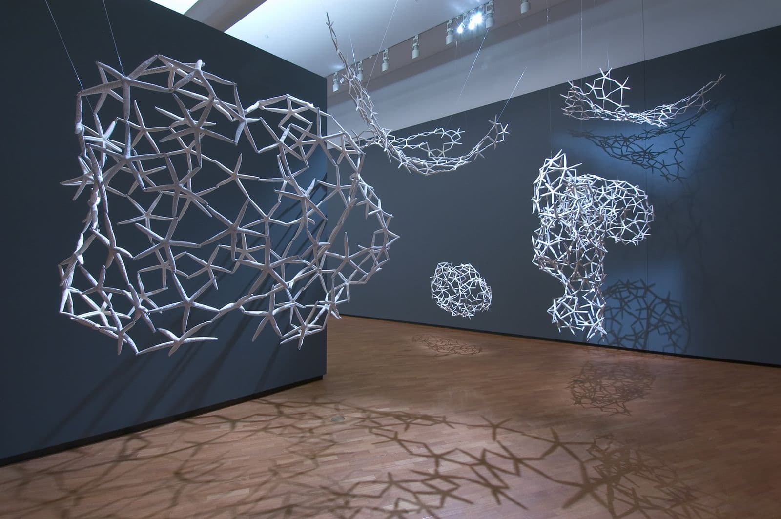 Five ceiling hung abstract sculptures formed of white starfish shaped pieces