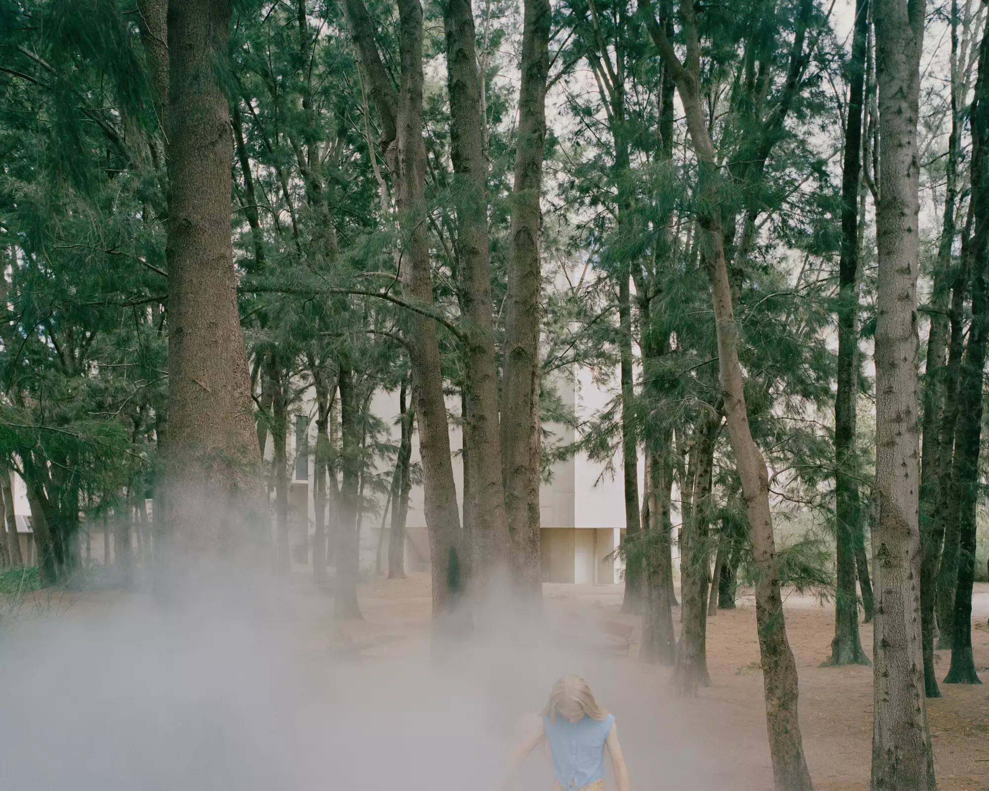 Where earth meets sky, find Fujiko Nakaya - National Gallery of