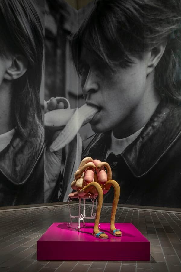 Installation view of Project 1: Sarah Lucas exhibition