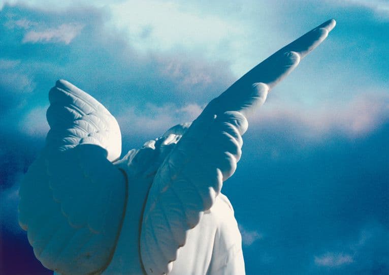 A photograph of the wings and back of head of a marble statue of an angel, set against a bright blue but cloudy sky.