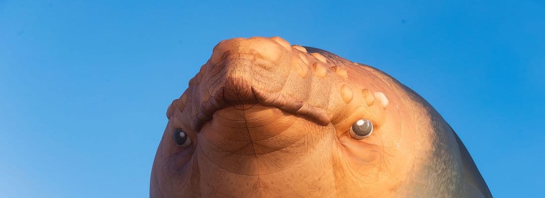 close up photo of skywhale hot air balloon