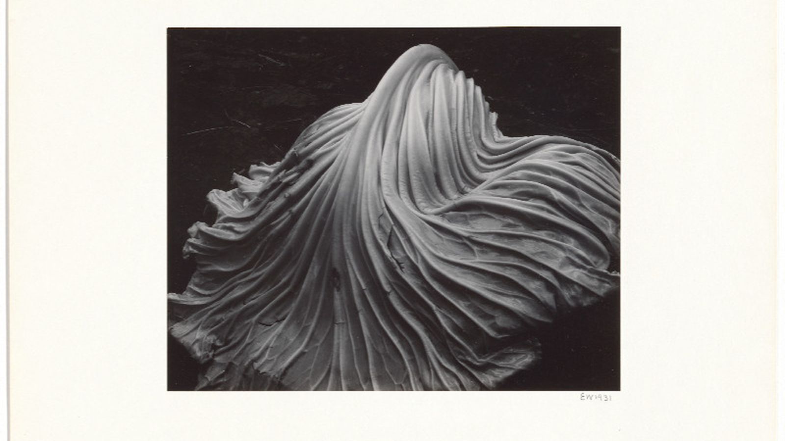 Here Comes the New Photography! - National Gallery of Australia