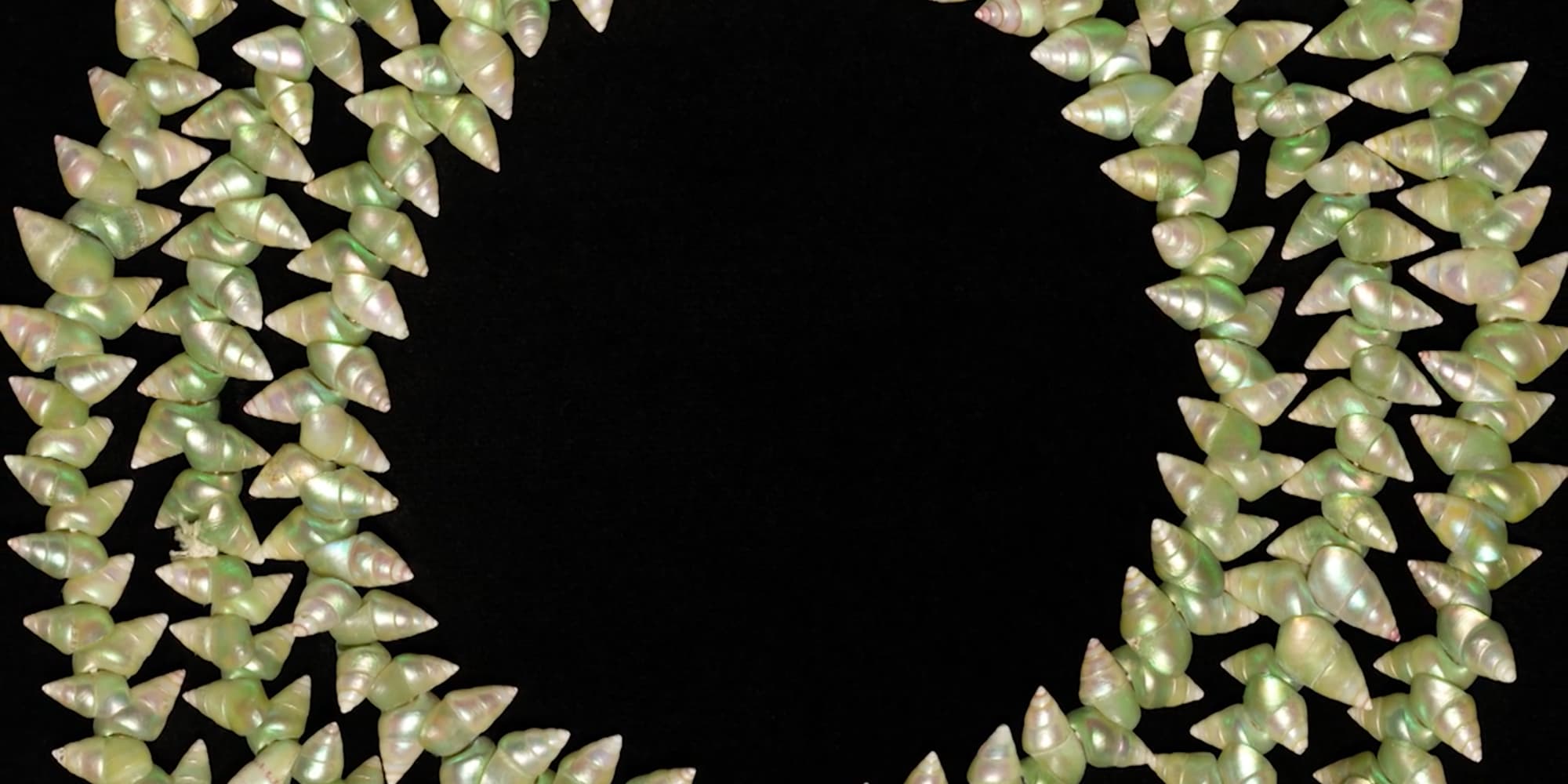 Shell necklace adelaide store