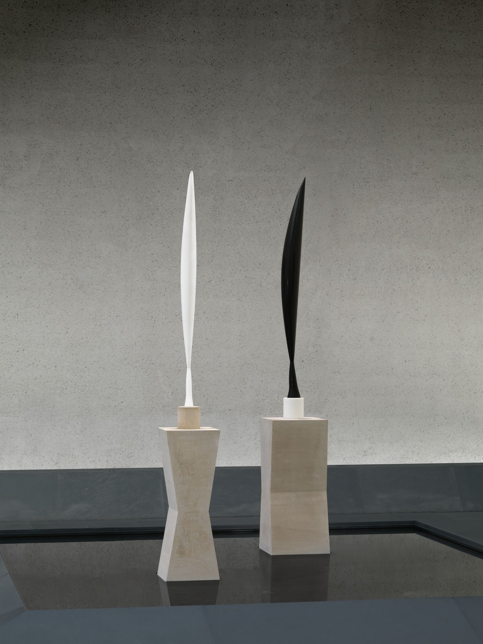 How to fly Brancusi s Birds National Gallery of Australia