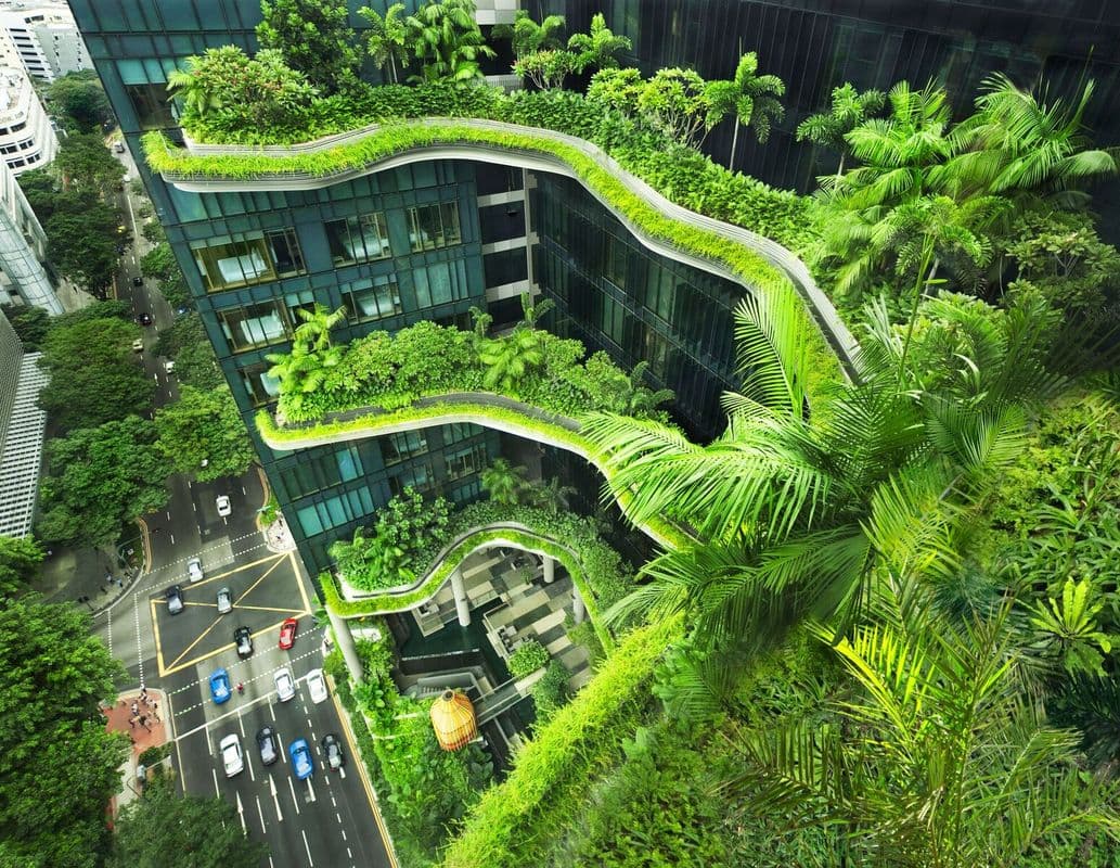 Birds eye view photograph of building with green balconies