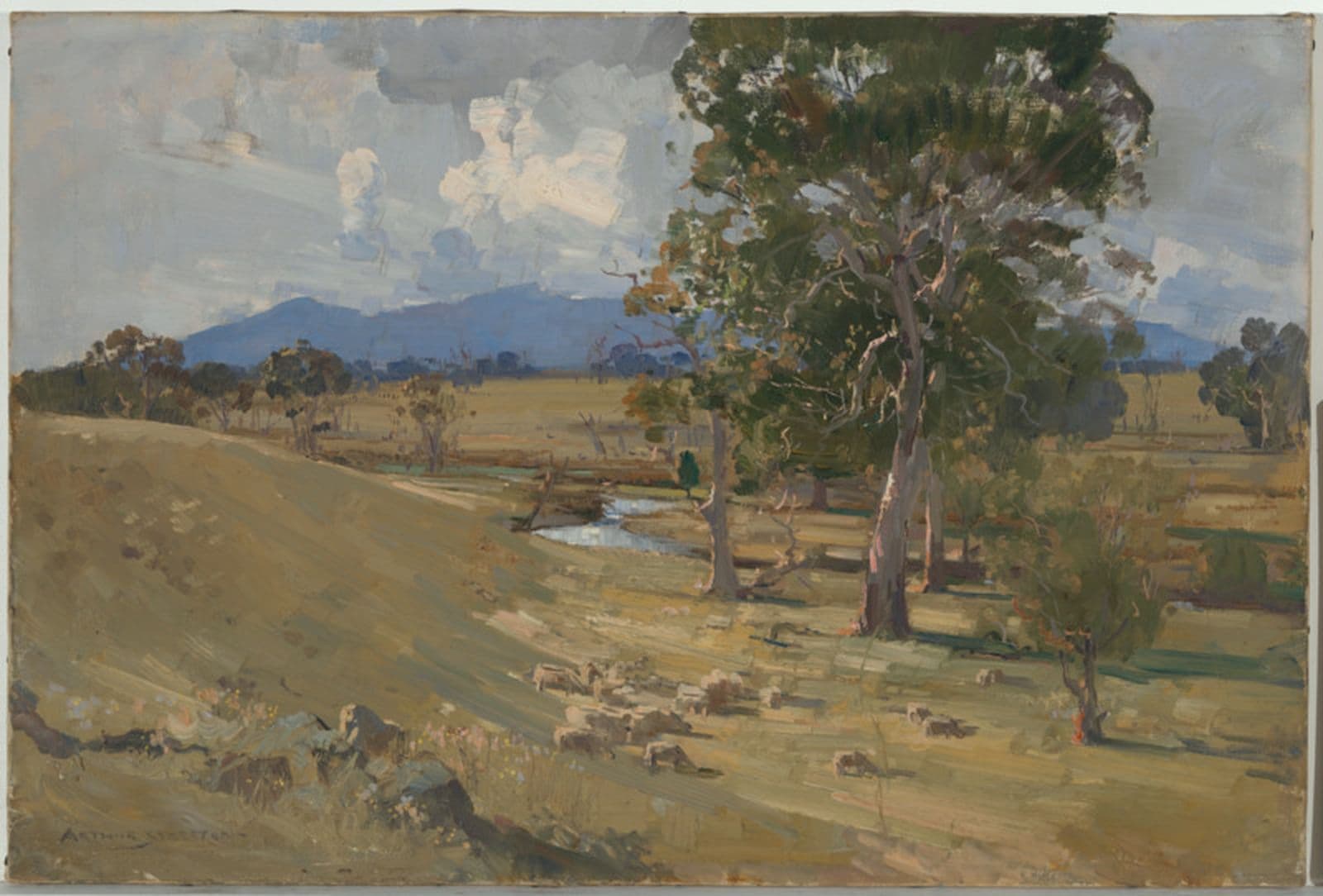 Impressionistic painting of Australian landscape