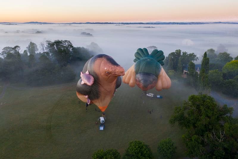 Hot air balloons, in the shape of a whales, one holding it's babies, the other with large teats next to it hovering above the ground getting ready for take off
