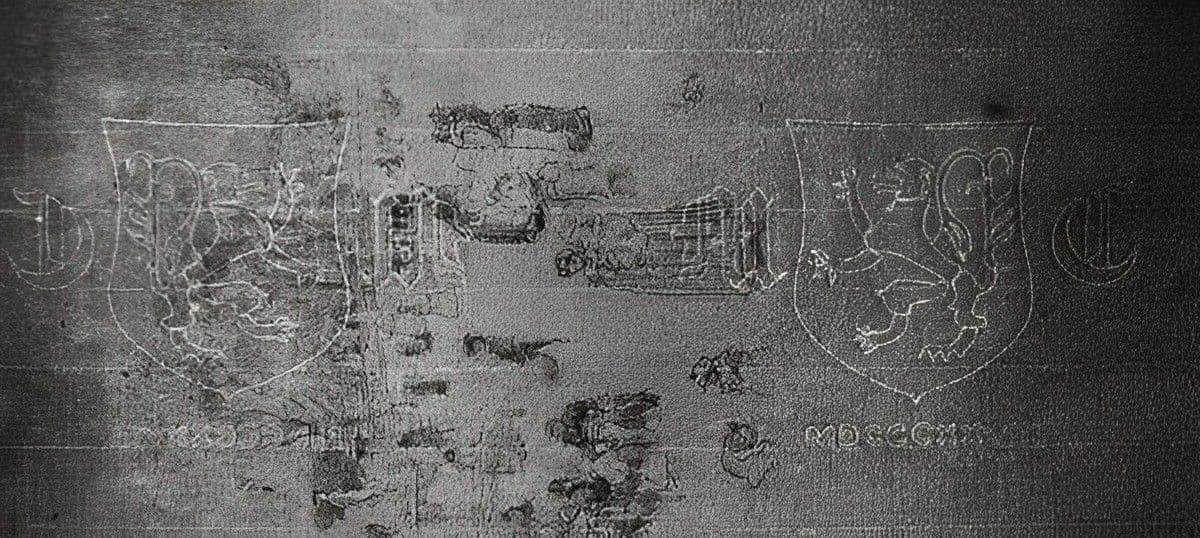 Image of A pair of lions on a shield face each other in mirror image in an unusual watermark seen here by transmitted light