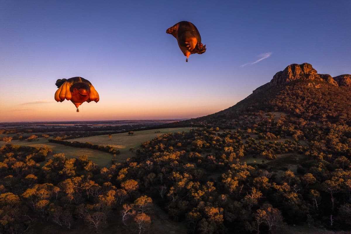 hot air balloon sculptures flying over The Grampians mountain range