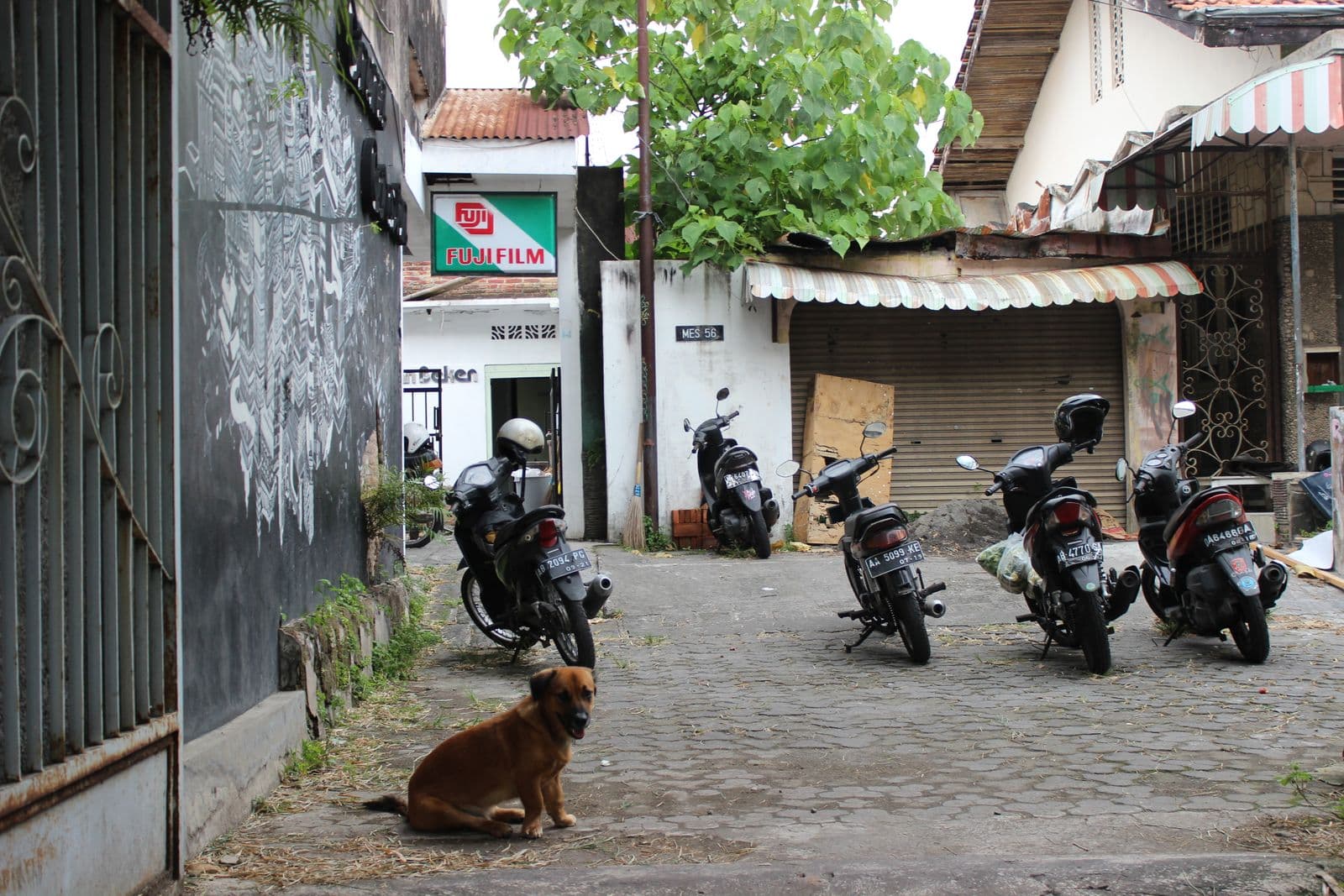 A street with parked motorcycles and a dog