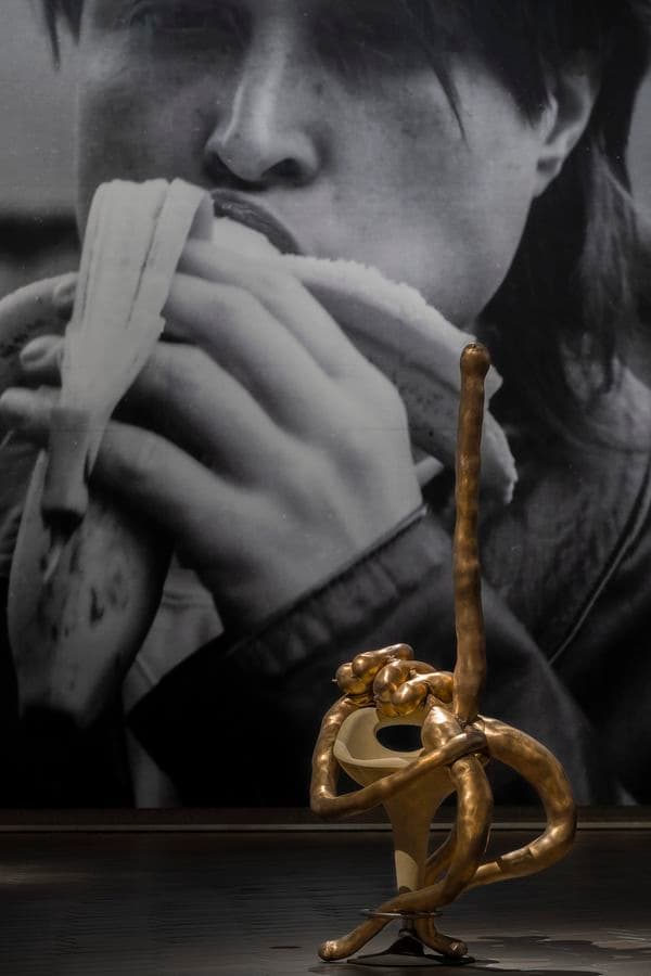 Installation view of Project 1: Sarah Lucas exhibition