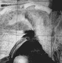 Infrared image of Eric Wilson's 'Domestic interior'