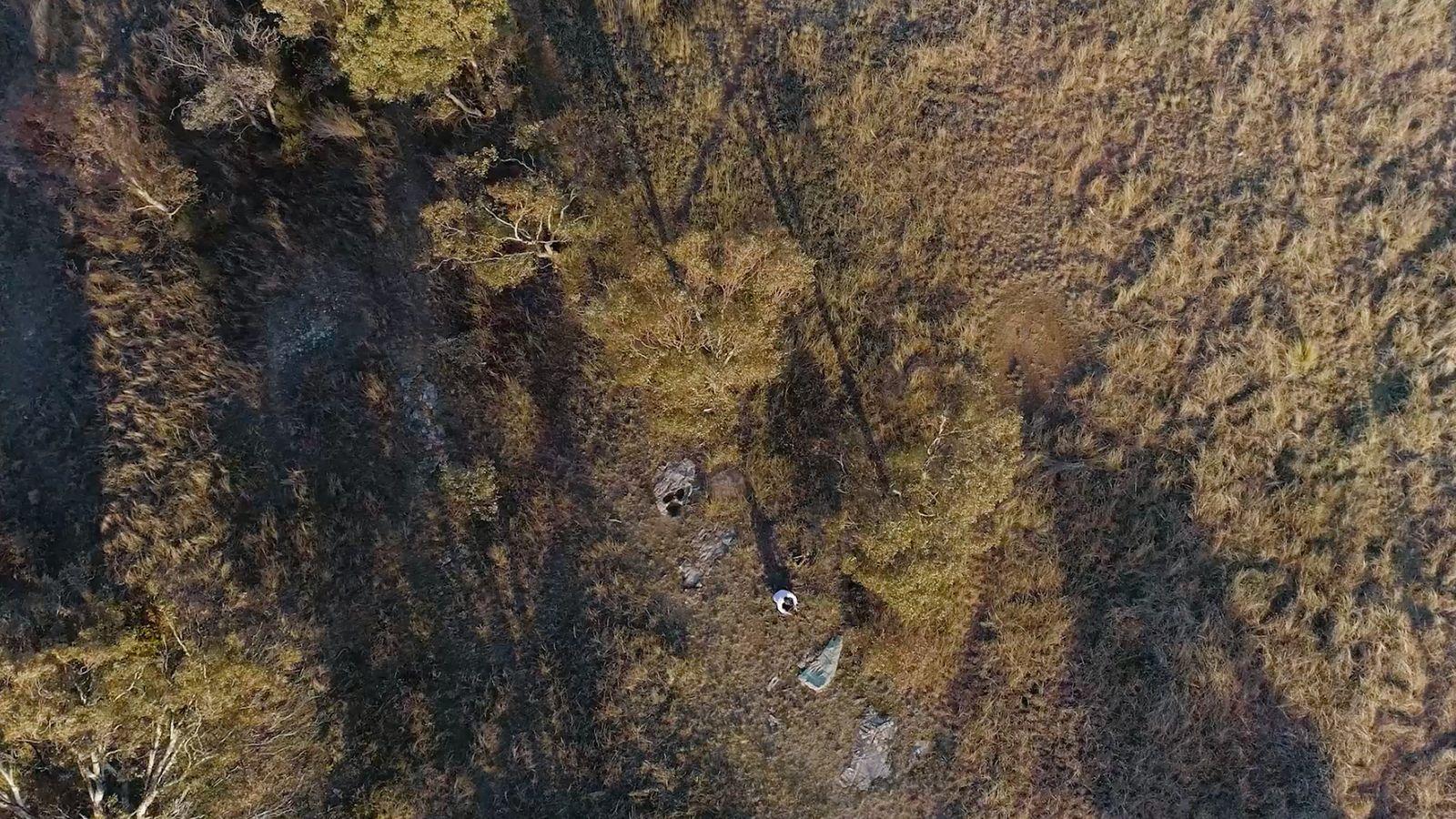 birds-eye view photograph of bushland