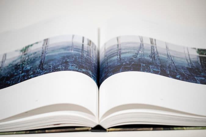 Close up colour photo of Cressida Campbell catalogue content
