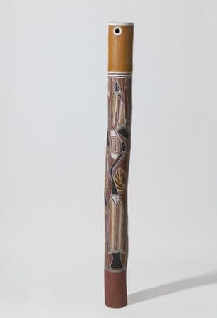 Traditional First Nation burial pole with python, tortoise, diver duck, eel tailed catfish and waterlily bulb imagery