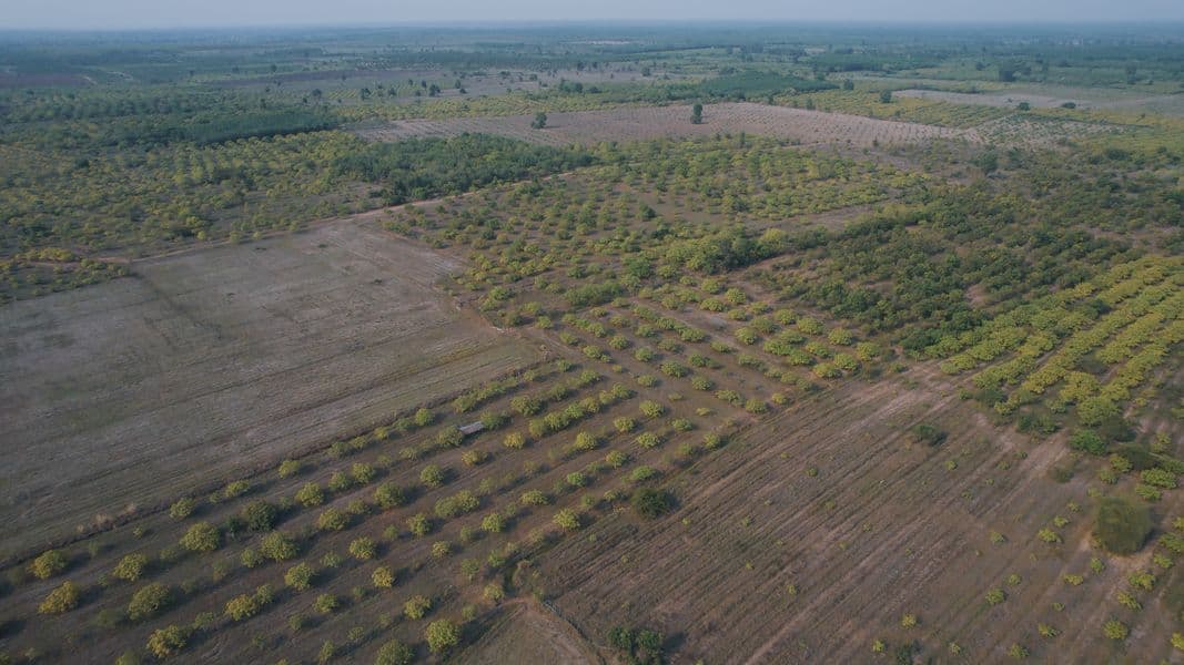 A field