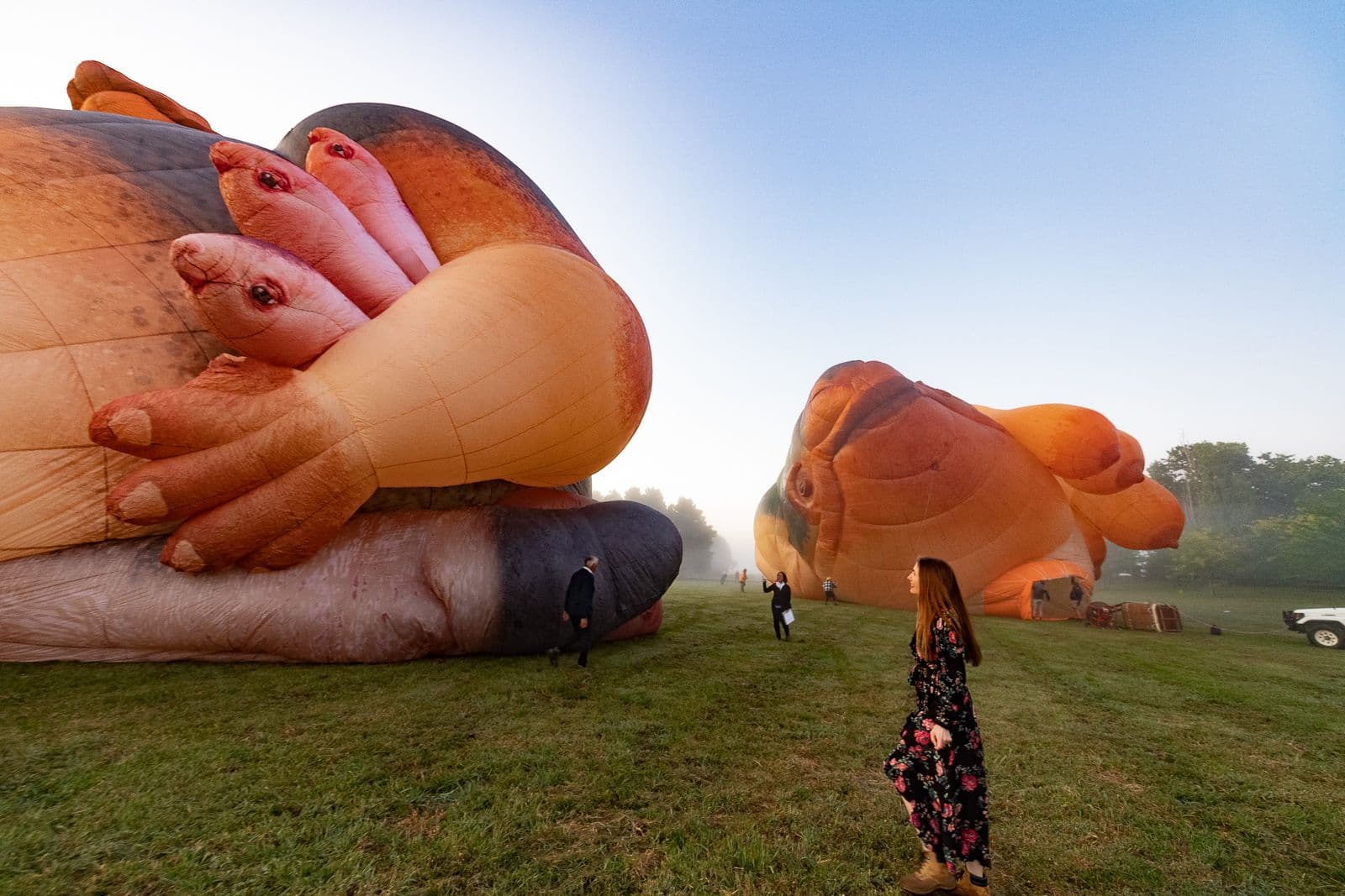 A photograph of a woman standing in a field watching a hot-air balloon in the shape of a flying whale being inflated.