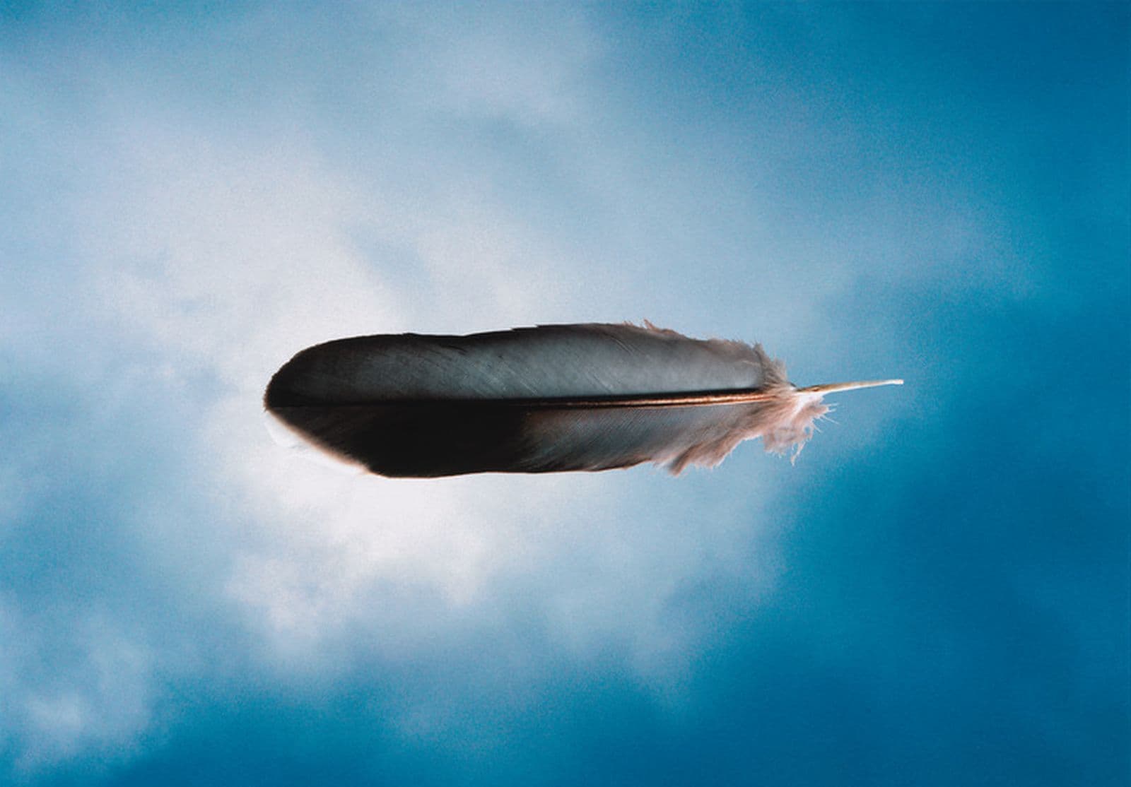 Photo of a horizontal white feather on a background of the blue sky