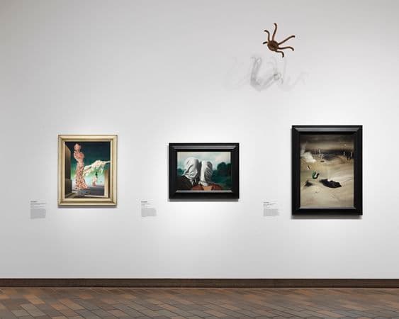 Photograph of a gallery wall with paintings