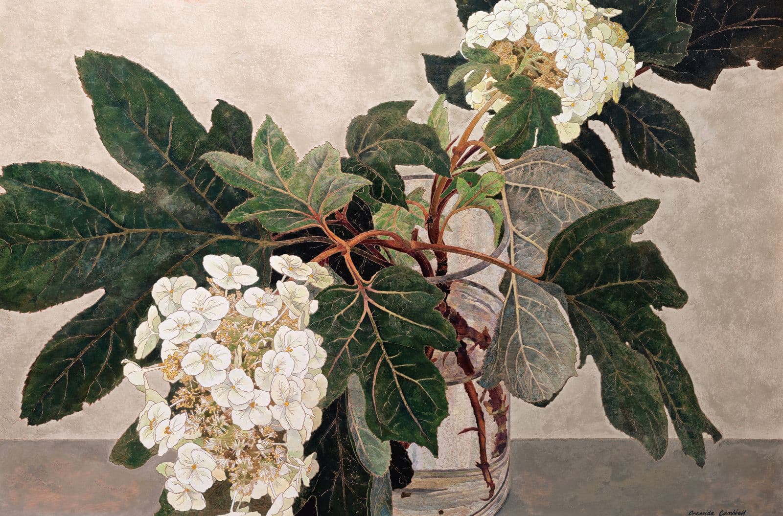 Cressida Campbell - National Gallery of Australia