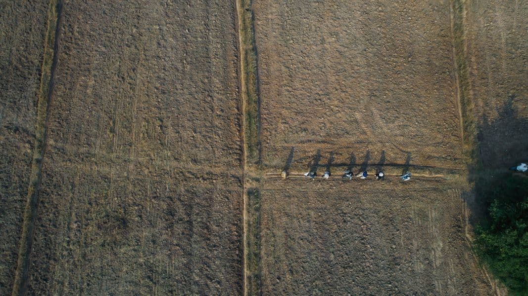 A group of people walk through a field