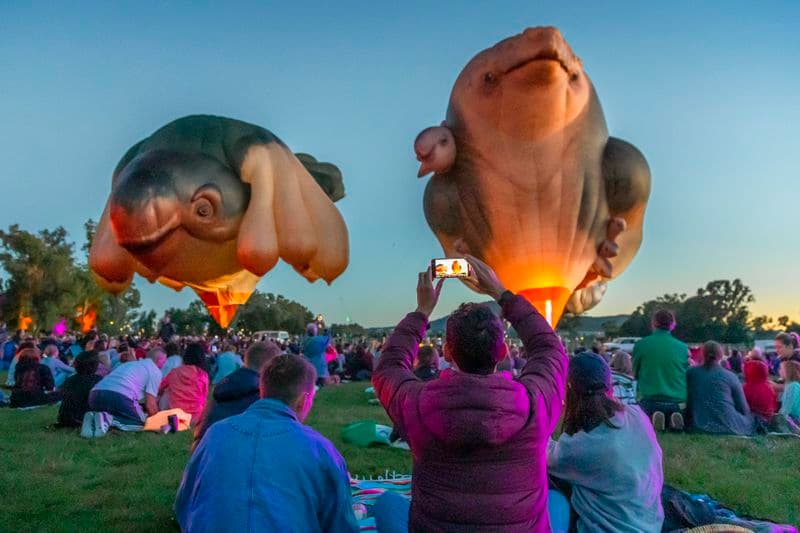 A group of people sit on the ground watching Skywhale hot air balloons taking off