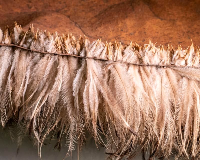 Close up photograph of feathers sewn onto edge of rusted steel cooliman