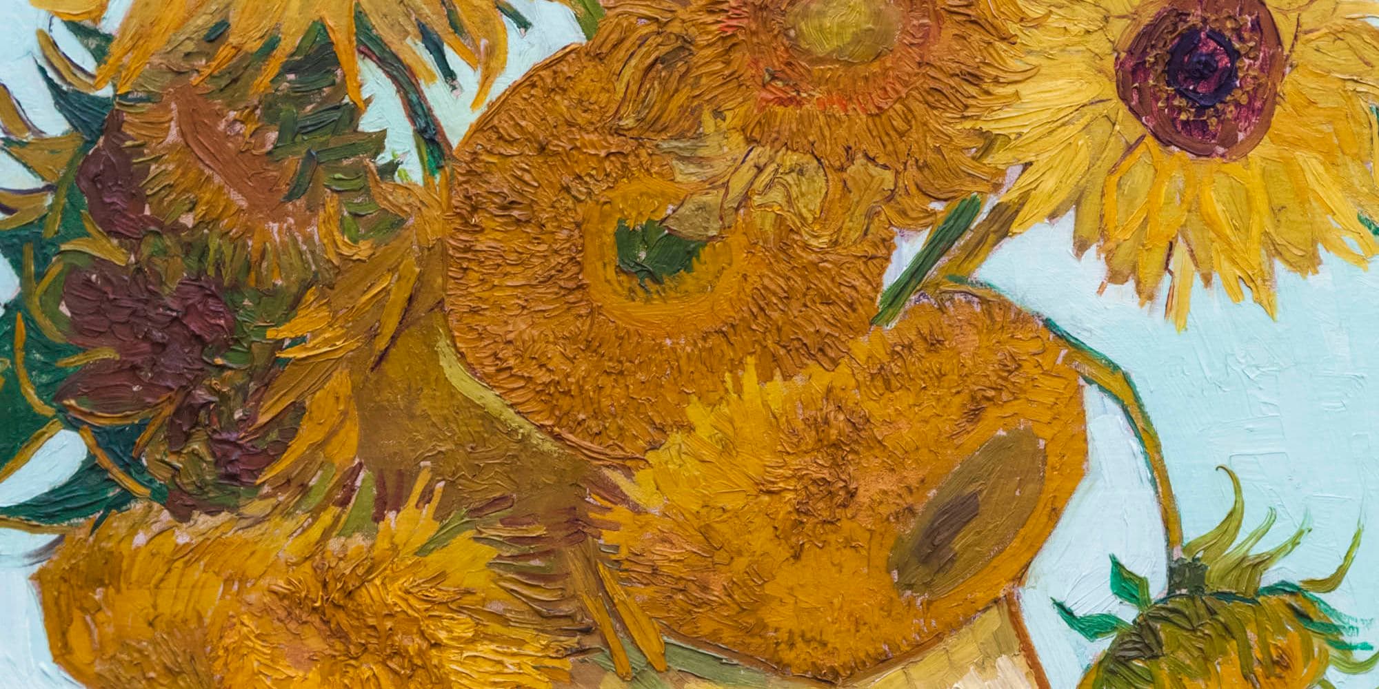 The Seven Sunflowers - National Gallery of Australia