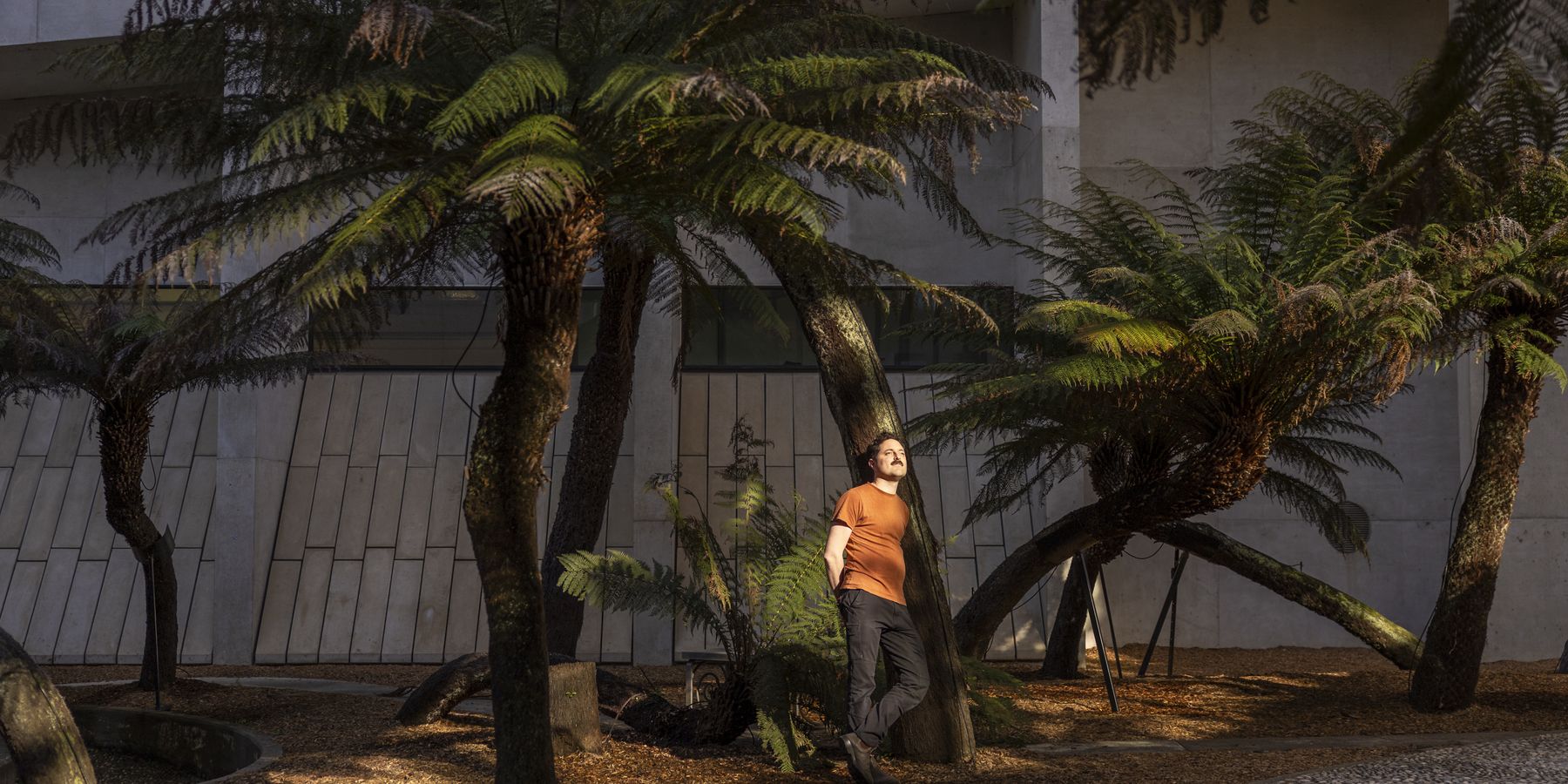 A photo of landscape manager Benjamin Taylor under the dappled light of a fern garden