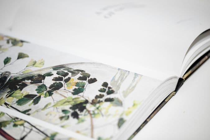 Close up colour photo of Cressida Campbell catalogue content