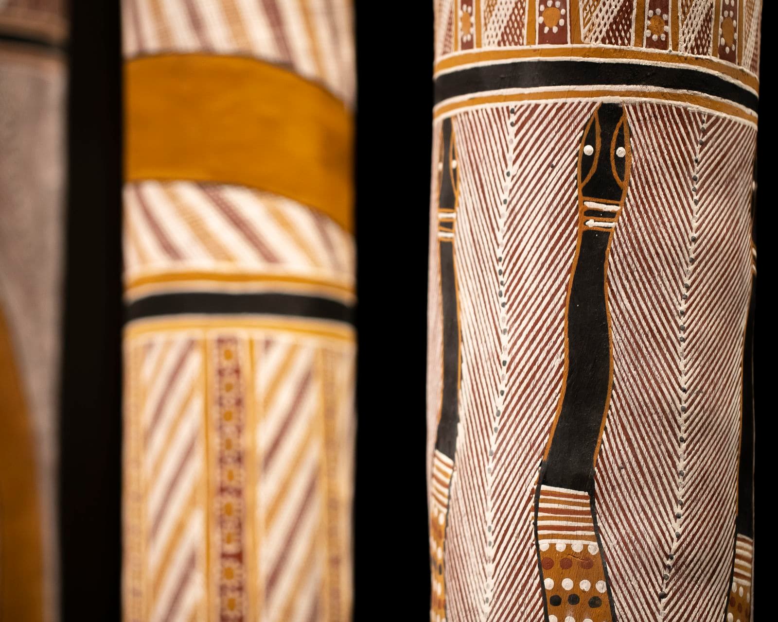 A close-up photograph showing a painted hollow-log. It is part of an installation of 200 painted hollow logs standing upright in a large gallery space. The surrounding walls are painted in a dark colour.