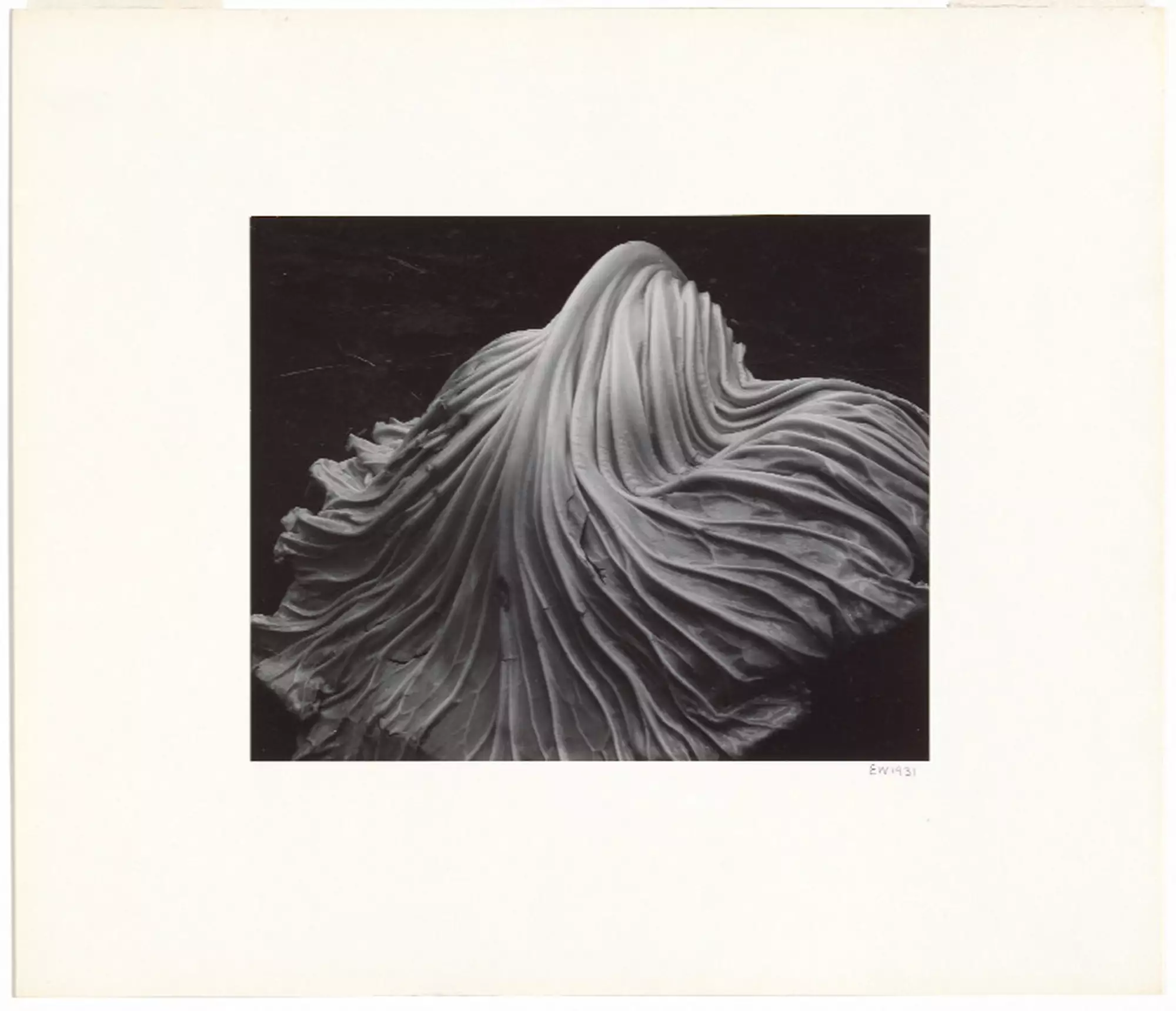 アート・デザイン・音楽 Perspectives: New Photography Collection Here Comes the New Photography! - National Gallery of Australia