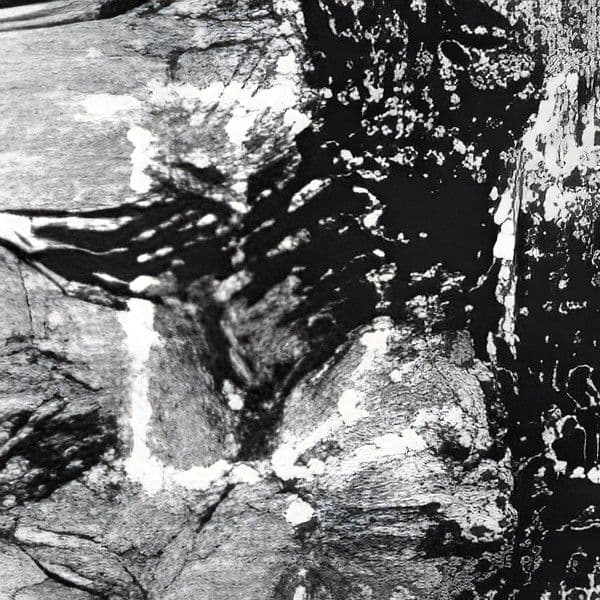 Image of watermark of letter 'D'