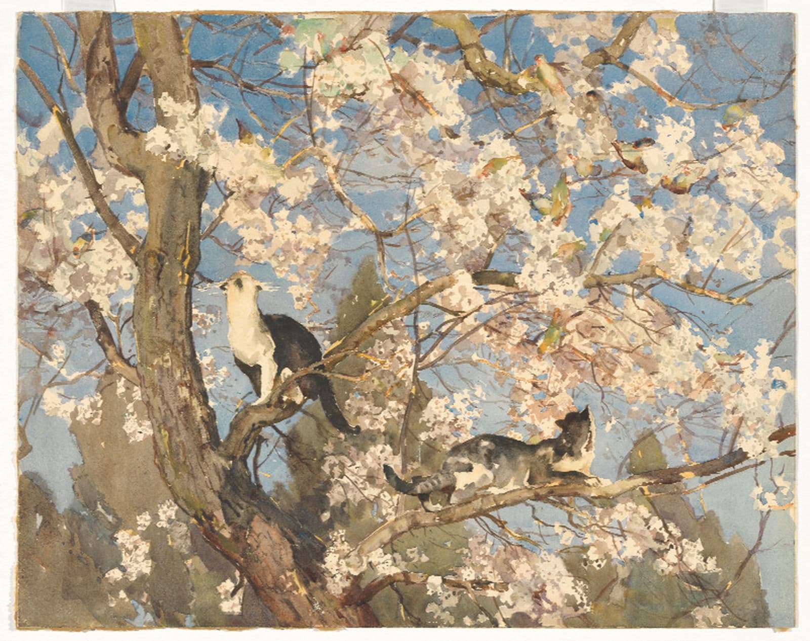 Two cats and lots of birds in a tree that is blossoming with white flowers