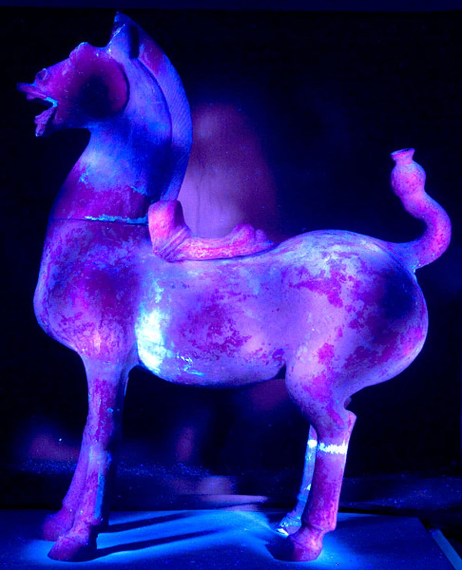 Ultraviolet image revealing locations of repairs and restorations via differing shades of purple light onhorse statue