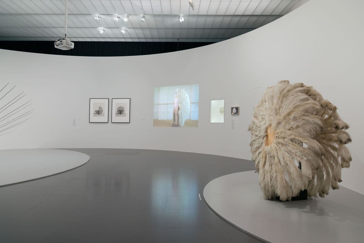 White gallery space, with large feathered sculpture in the foreground and works hanging on the walls in the background.