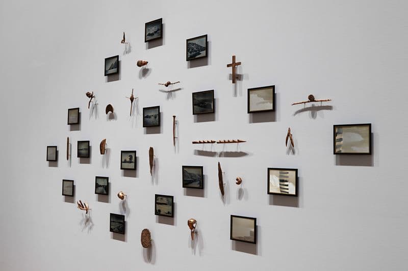A collection of photographs printed on silver are presented on a wall, interspersed with bronze castings of native Australian flora