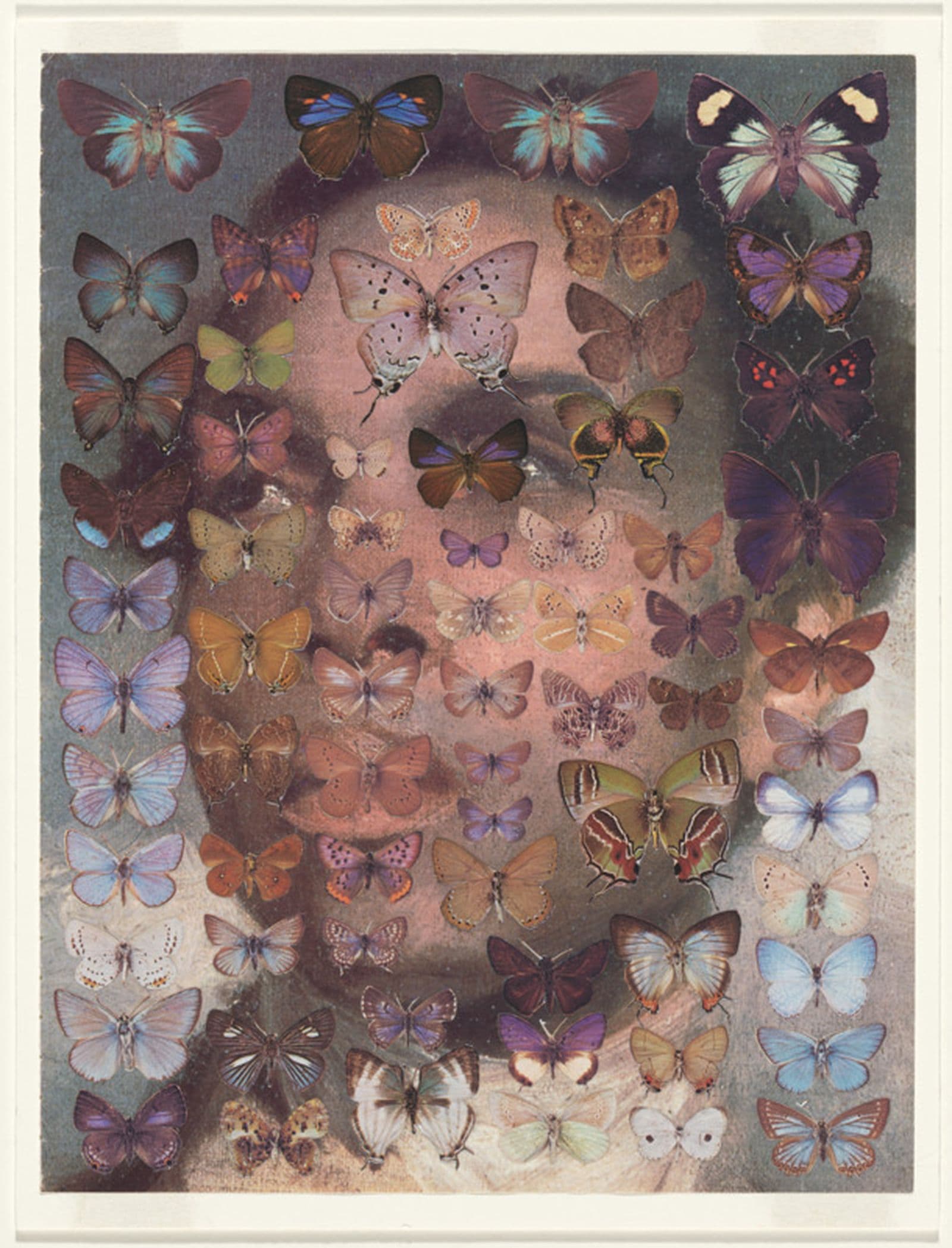 A portrait of a man with a collage of butterflies on top