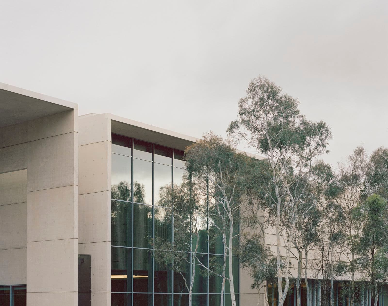 Photo of the exterior a building with large floor to ceiling windows and native trees at the front