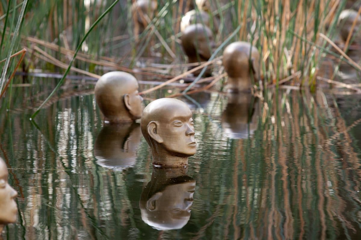 Bronze heads stick up out of a pond with grasses