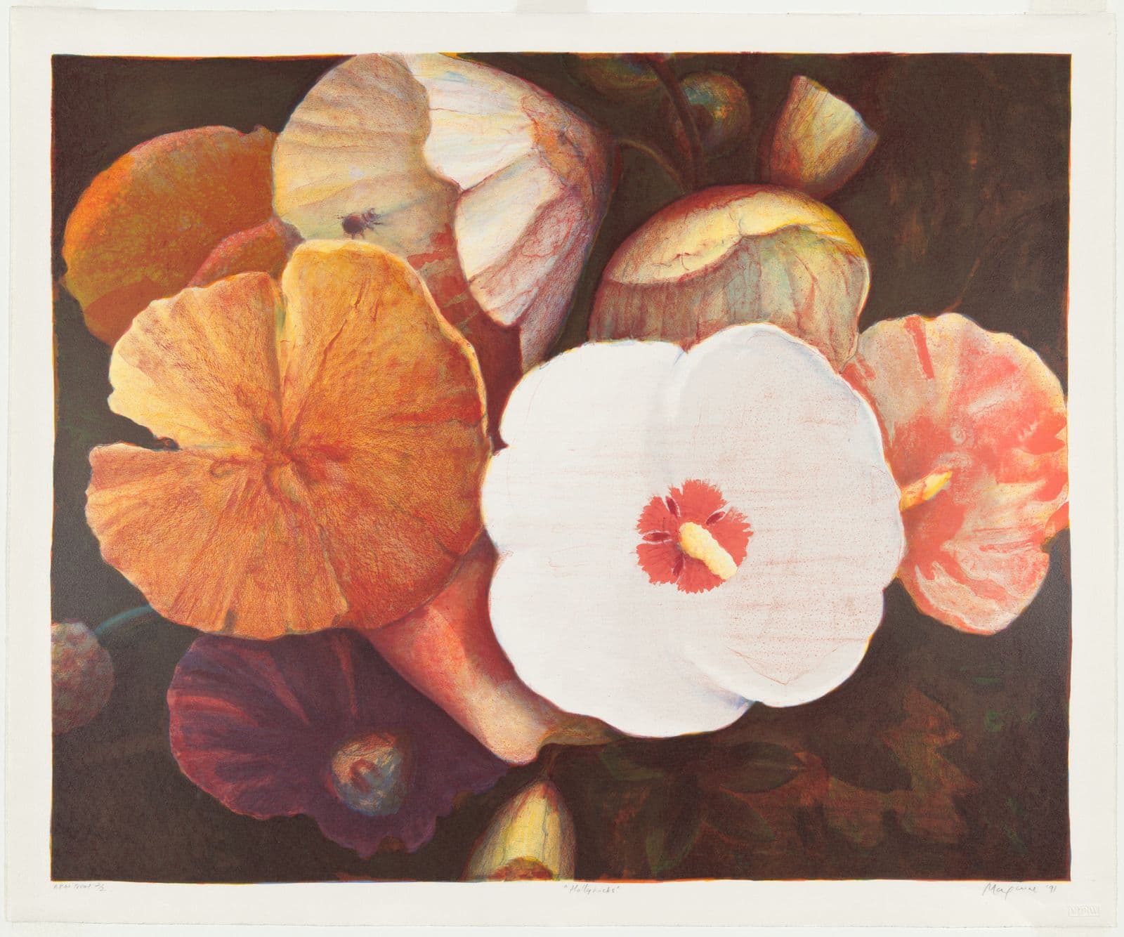 Print of Hollyhock flowers in white, pink, and orange