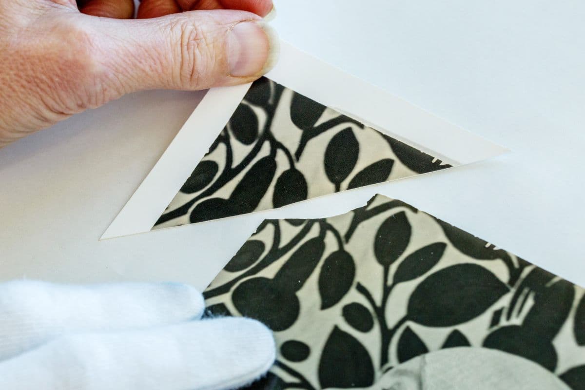 A photograph with a torn upper left corner