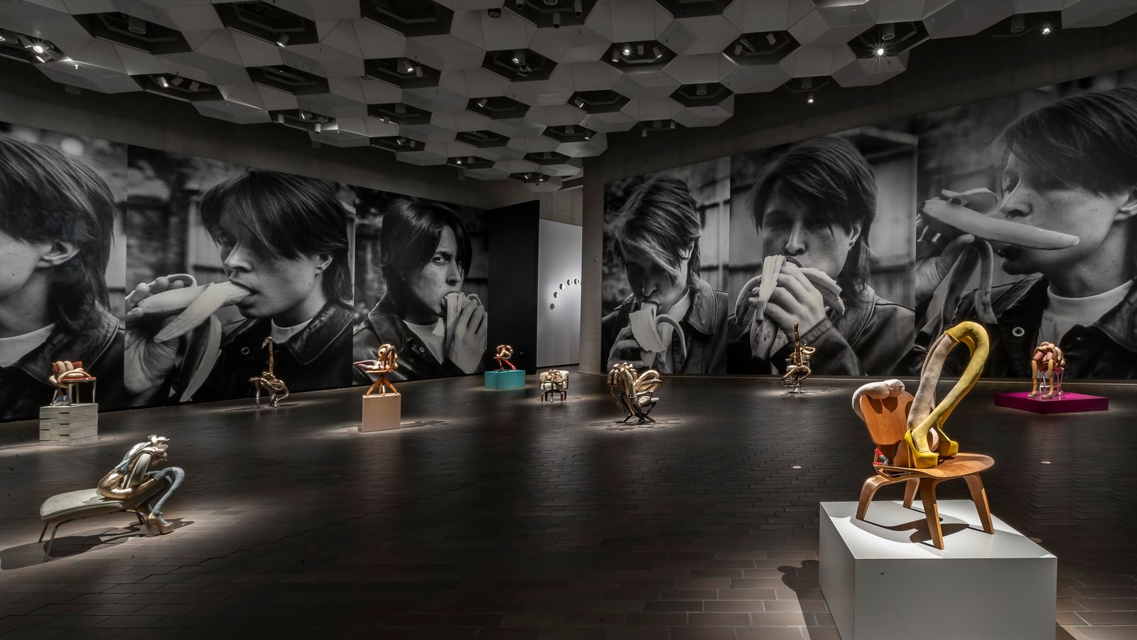 Project 1: Sarah Lucas - National Gallery of Australia