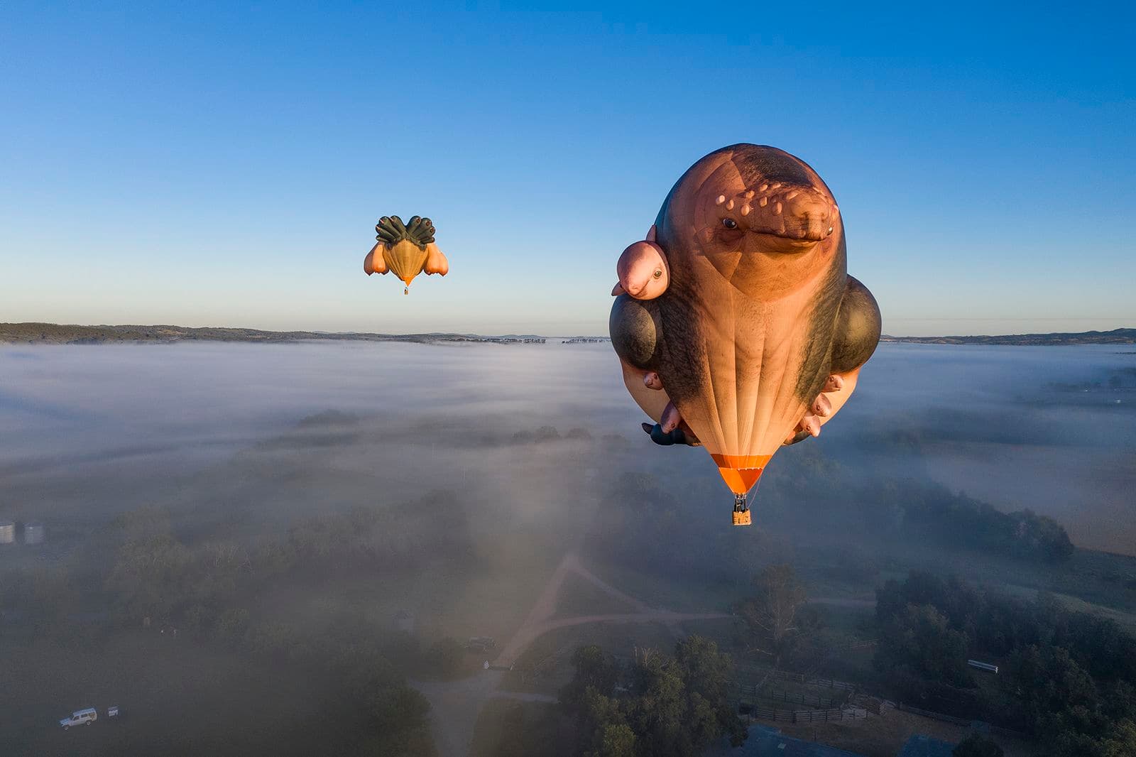 Hot air balloon, in the shape of a whale holding it's babies, floating in the sky
